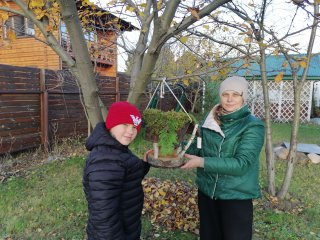 В Синичкин день сотрудники Управления по ЦАО повесили кормушки